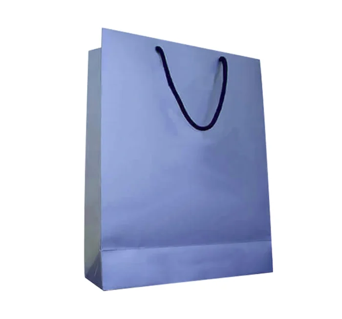 Custom Printed Paper Bags