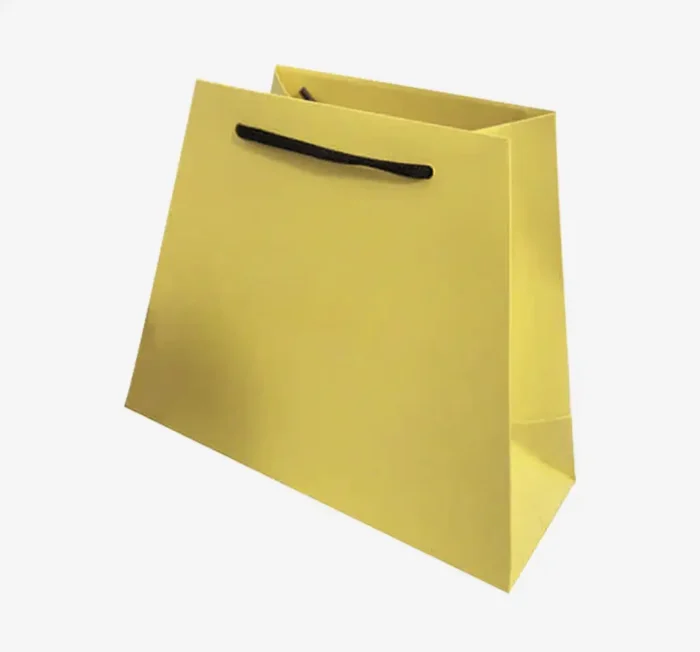 Promotional Bag