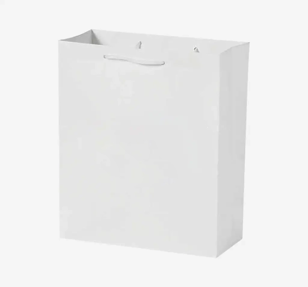 Wedding Gift Bag
